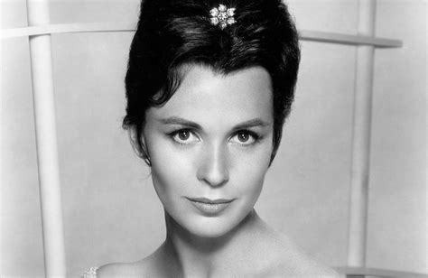 Exploring the Charisma of Claire Bloom