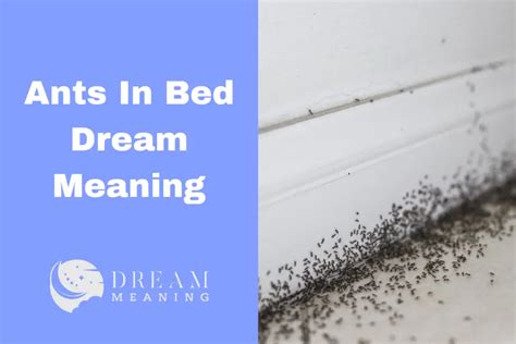 Exploring the Common Scenarios: Different Situations Featuring Ants in Bed Dreams