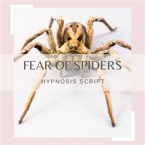 Exploring the Connection between Arachnophobia and Fear in the Subconscious Mind