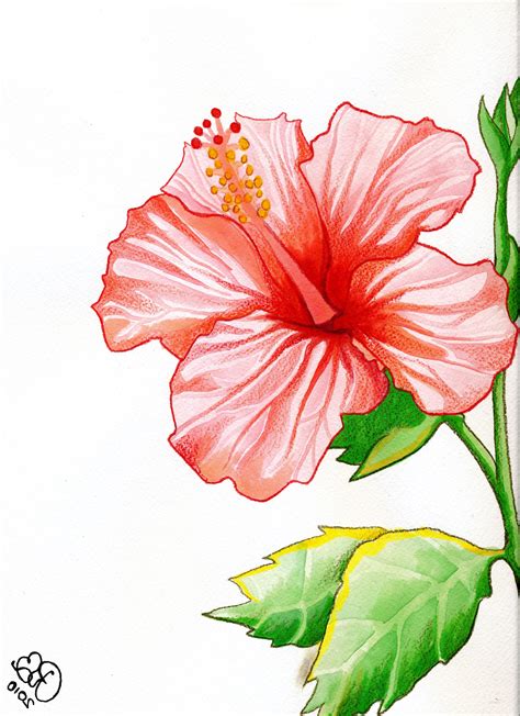 Exploring the Creative Potential of Hibiscus Blossoms in Artistic Expression