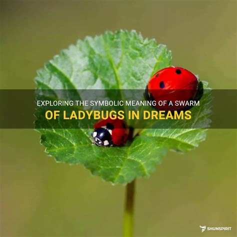 Exploring the Cryptic Meanings of Ladybug Bites in Dreams