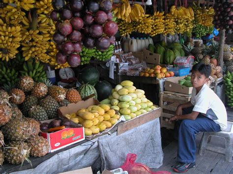 Exploring the Cultural Importance of Indigenous Tropical Fruits