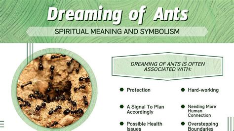 Exploring the Cultural Significance Related to Ant Dreaming