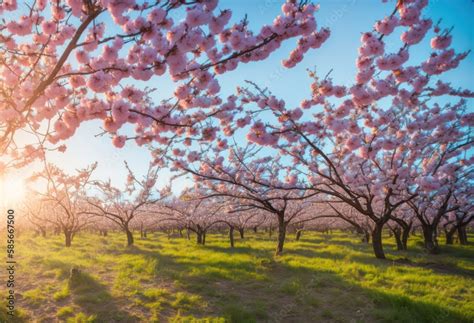 Exploring the Cultural Significance of Blossom Cultivation in Dreams