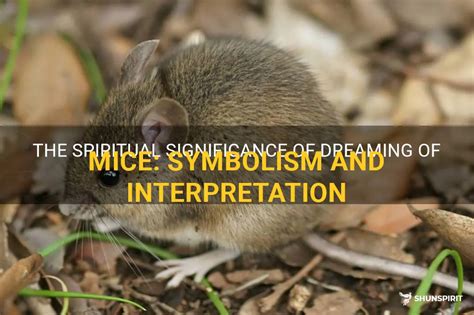 Exploring the Cultural Significance of Rodents in Symbolism