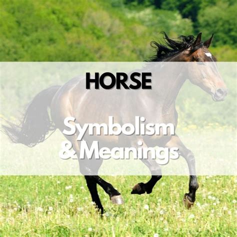 Exploring the Cultural and Historical Context of Equine Symbolism