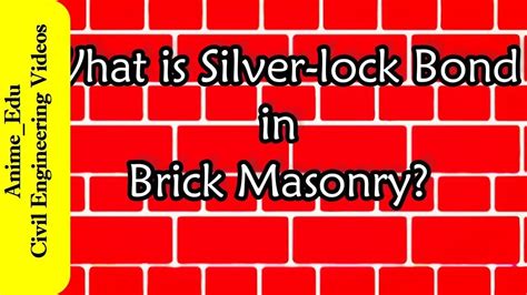 Exploring the Cultural and Historical Meanings of Silvery Locks