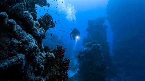 Exploring the Depths: An Enthralling Encounter or Deeply Personal Expedition?