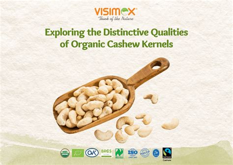 Exploring the Distinctive Flavors of Various Cashew Varieties