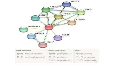 Exploring the Distinctive Taste Profile of Caprine Protein