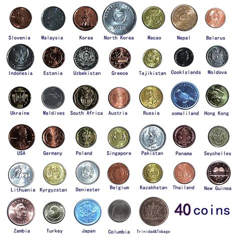 Exploring the Diversity of Coins: Unveiling the World of Different Coin Types