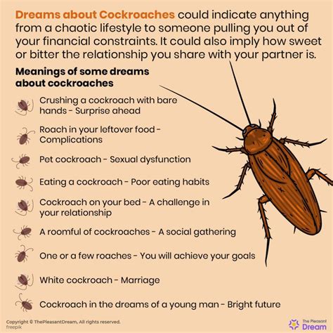 Exploring the Dream World: Determining the Significance of Roach Excrement in Dreams