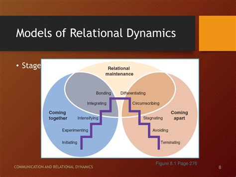 Exploring the Dynamics of the Relationship: Revealing Insights