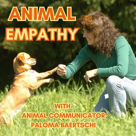 Exploring the Emotional Bonds with Canine Companions