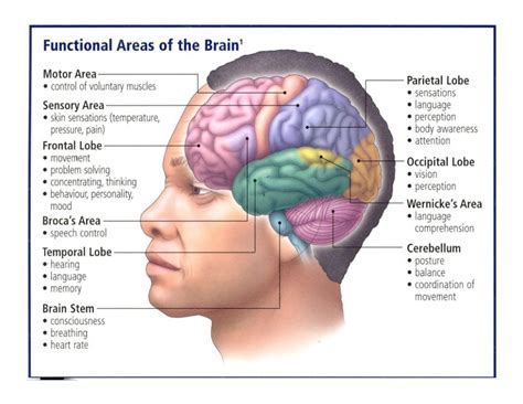 Exploring the Emotional Context