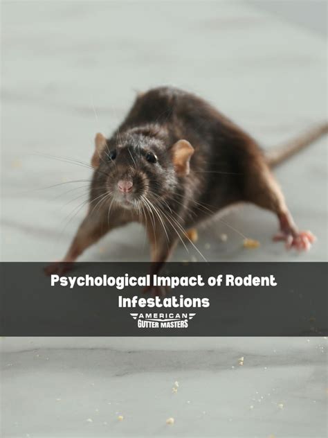 Exploring the Emotional Impact of Witnessing a Hurt Rodent