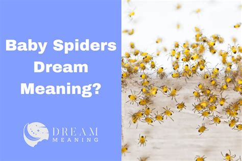 Exploring the Emotional Significance of Dreaming about Eliminating Infant Arachnids