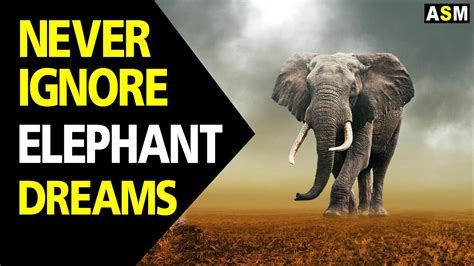 Exploring the Emotional Significance of Dreaming of the Advent of an Elephant