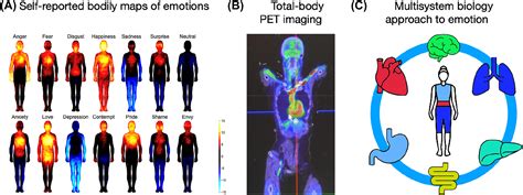 Exploring the Emotional State and Sensations during Experiencing Being Trapped in an Inundation