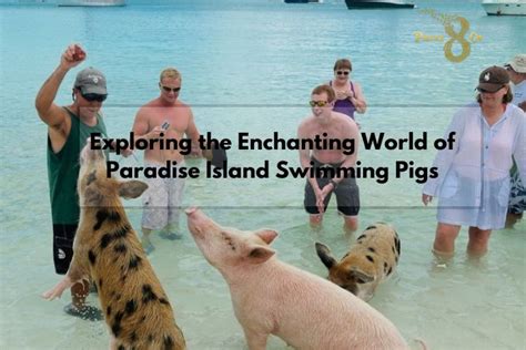 Exploring the Enchanting World of Pet Pigs