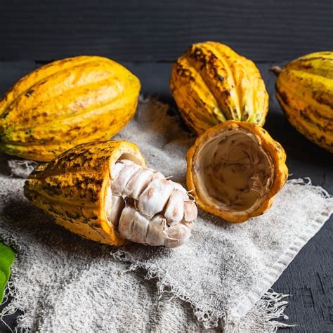 Exploring the Enigmatic World of Chocolate Craftsmanship