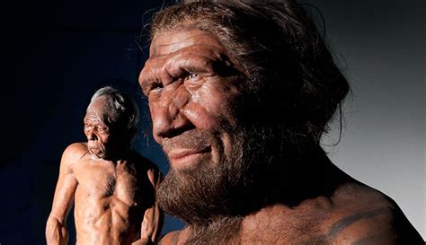 Exploring the Evolution of Lifelike Models: A Historical Examination