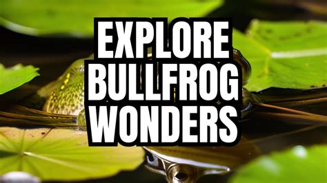 Exploring the Fascinating Characteristics and Behaviors of the Majestic Bullfrog