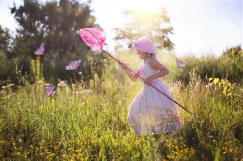 Exploring the Fascination of Butterfly Chasing