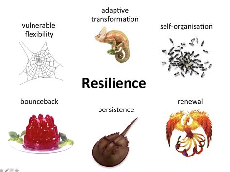 Exploring the Fly's Symbolism of Metamorphosis and Resilience