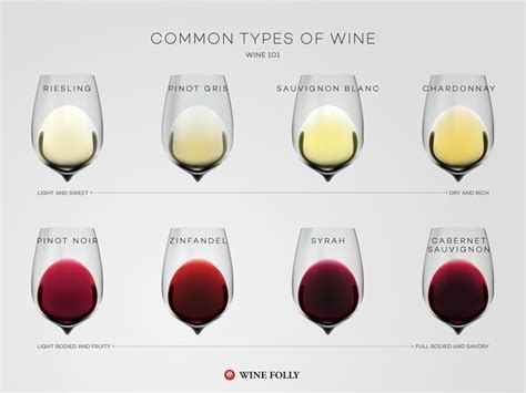 Exploring the Foundational Elements: Varieties and Categories of Wine