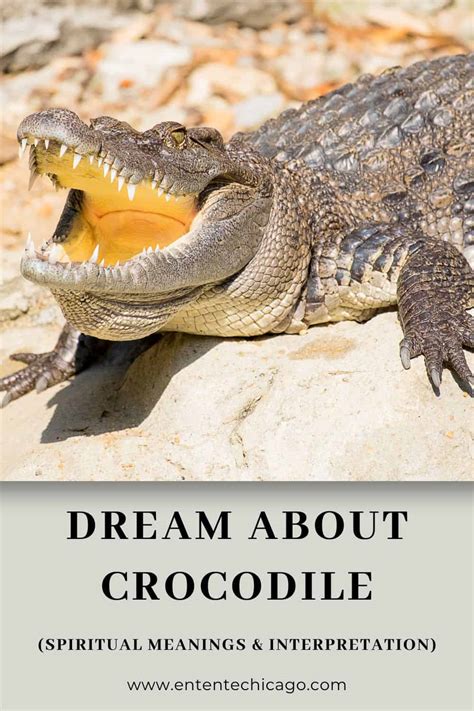 Exploring the Freudian Interpretation of Crocodile Dreams