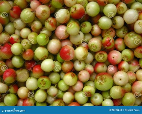 Exploring the Gastronomic Opportunities of Unripe Fruits