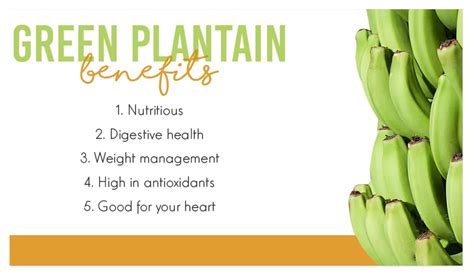 Exploring the Health Benefits of Fresh Green Plantains