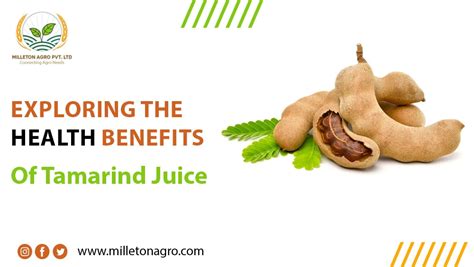 Exploring the Health Benefits of Tamarind