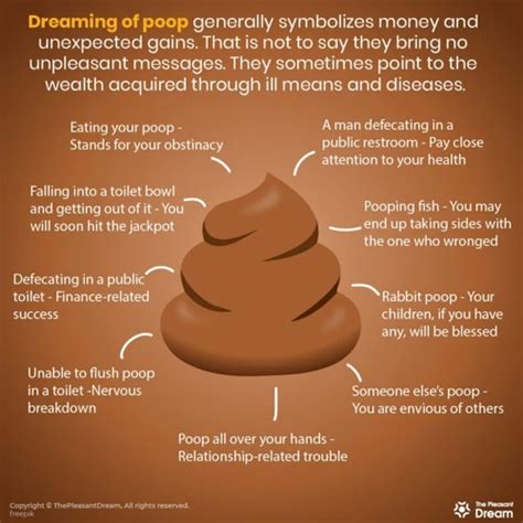 Exploring the Hidden Meanings Behind Excrement-Related Dreams