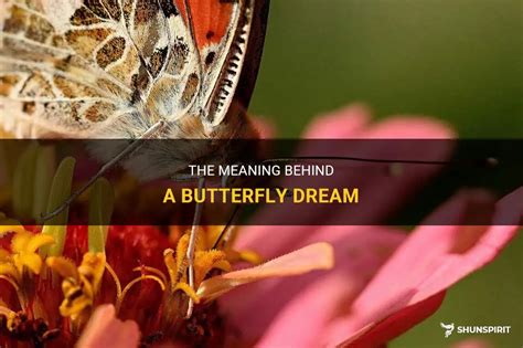 Exploring the Hidden Meanings of Butterfly Dreams: Insights into Your Inner Self