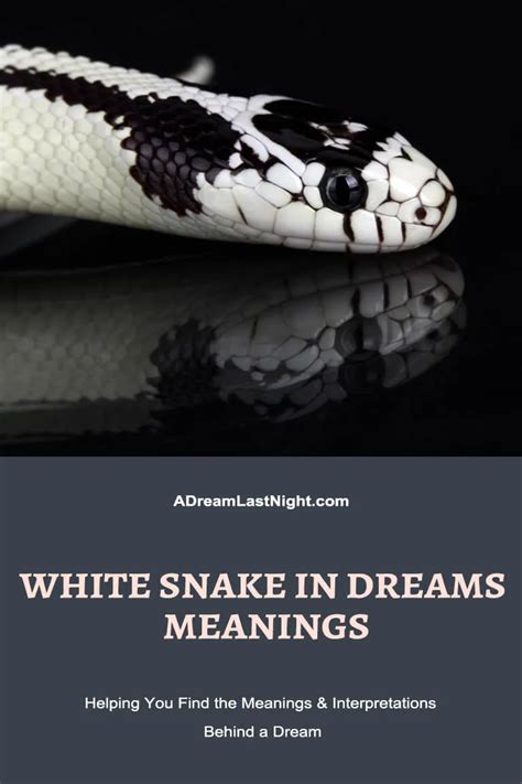 Exploring the Hidden Meanings of Snake Dreams