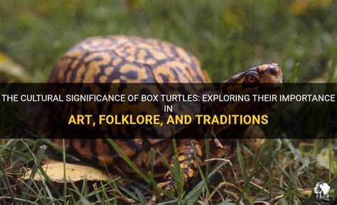 Exploring the Historical Significance of Turtles in Various Cultures