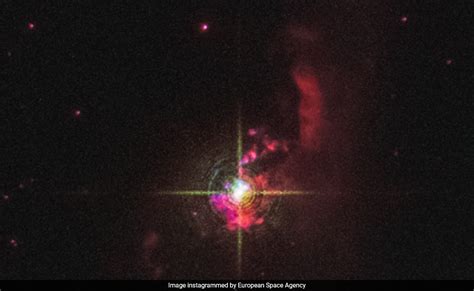 Exploring the Identity of the Enigmatic Star