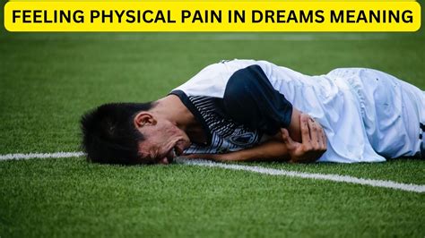 Exploring the Impact of Physical Discomfort on Our Dreams