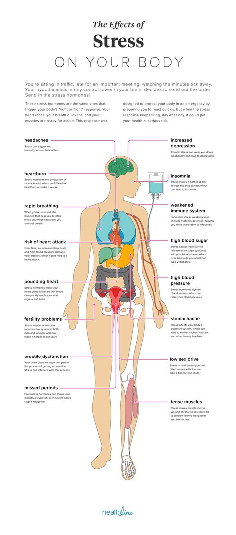 Exploring the Impact of Stress and Anxiety