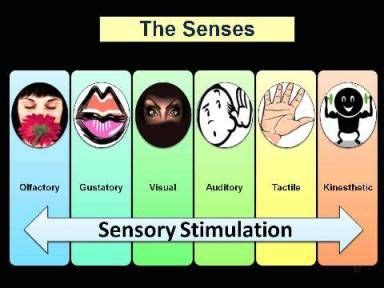 Exploring the Importance of Sensory Stimulation in Fostering Meaningful Connections