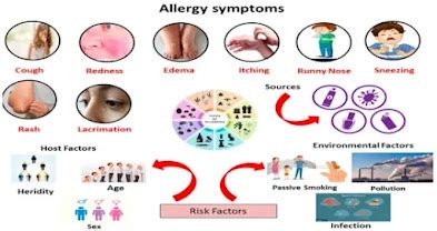 Exploring the Influence of Environmental Triggers on Allergic Dream Responses