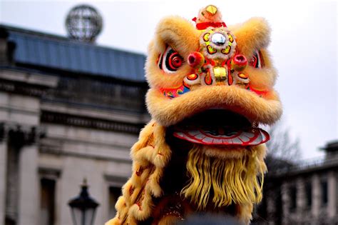 Exploring the Intricate Artistry of Chinese Lion Dance Costumes