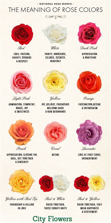 Exploring the Language of Roses: Symbolism and Meanings