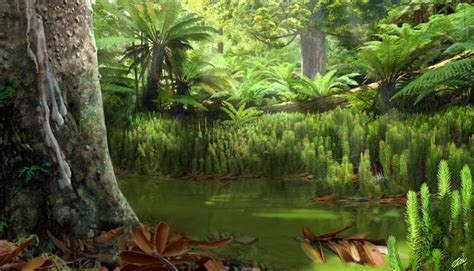 Exploring the Link Between Ferns and Ancient Landscapes