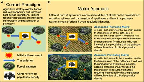 Exploring the Link between Agriculture and the Depths of the Mind