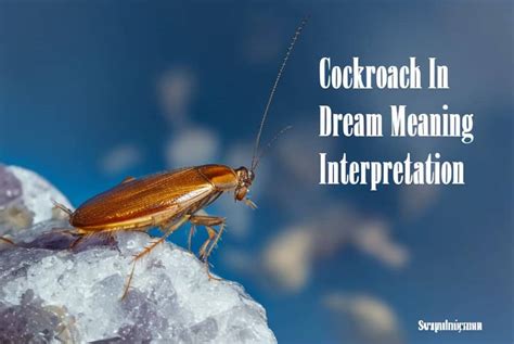 Exploring the Meaning Behind Dark Cockroach Dreams