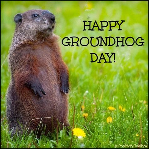 Exploring the Meaning of Groundhog Day