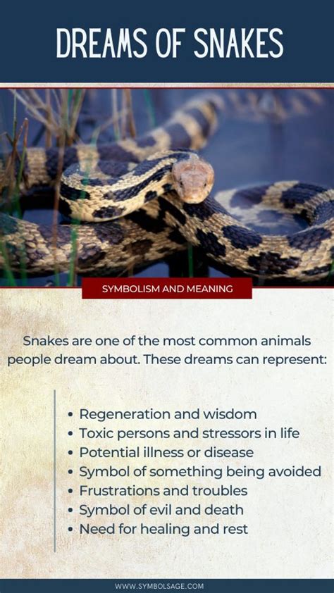 Exploring the Meaning of Snake Dreams: Metamorphosis and Rebirth